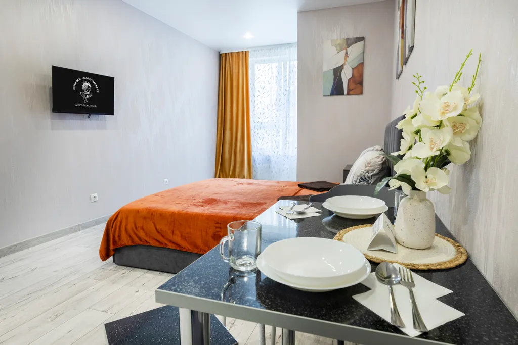 Просторная студия рядом с аэропортом