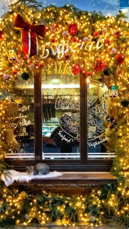 Квартира Уютный апартамент cranz — Зеленоградск