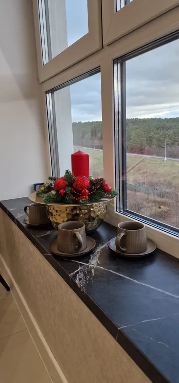 Квартира Уютные апартаменты — Светлогорск