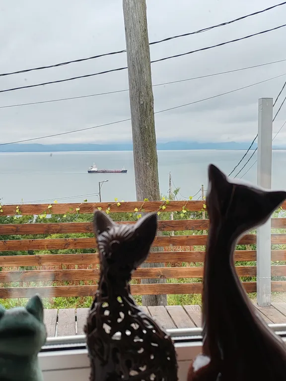 Домик с видом на море