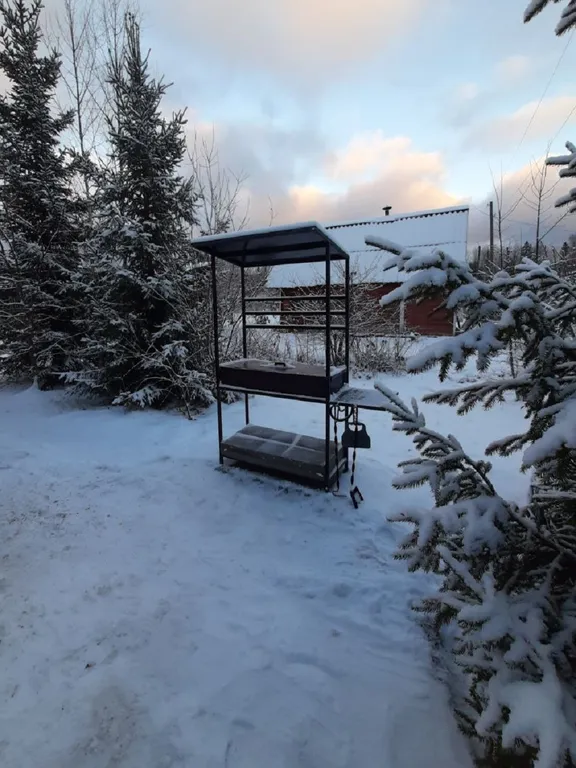 Коттедж Домик с сауной и купелью у леса — Деревянное