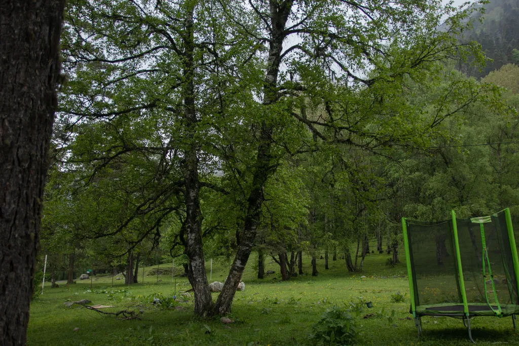 Гостевой дом Артур