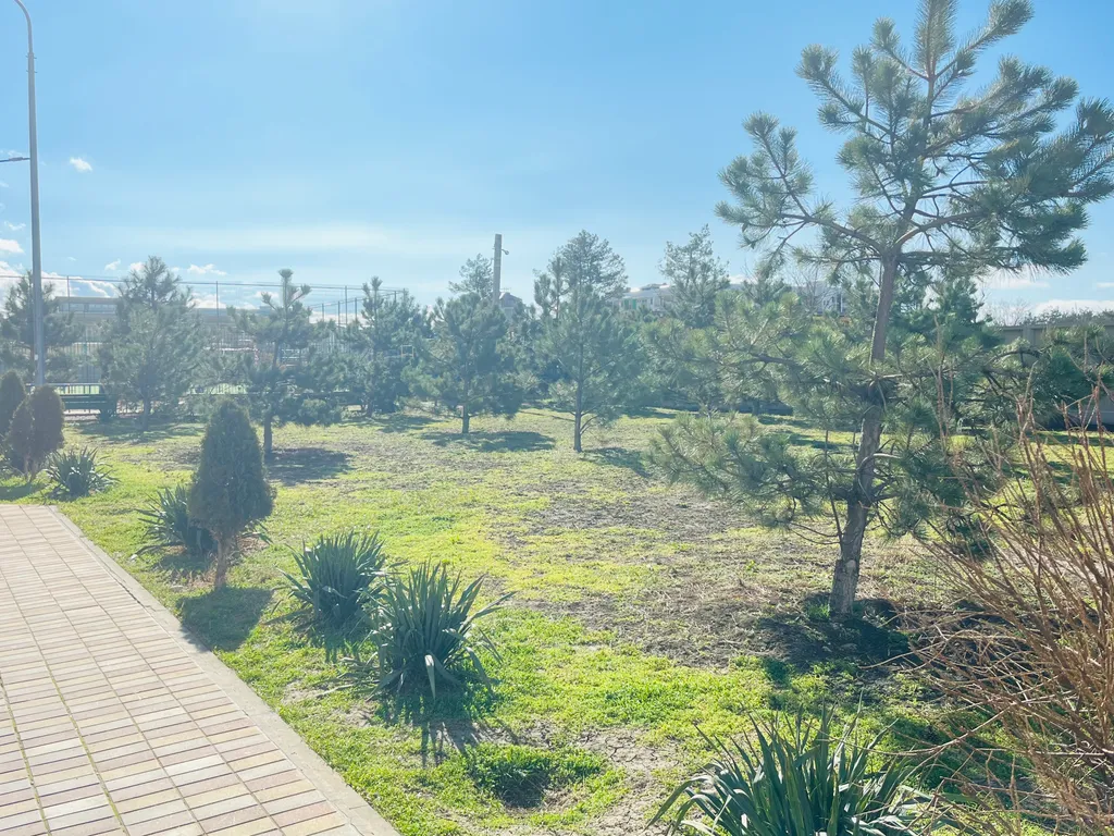 Квартира Квартира Путешествие к горизонту начинается здесь — Анапа