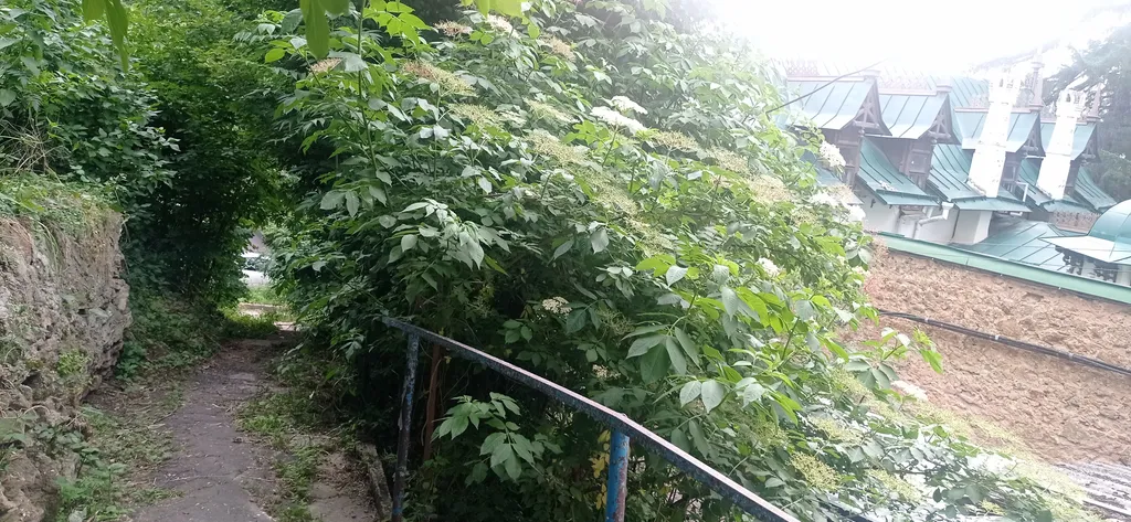 Квартира для отдыха