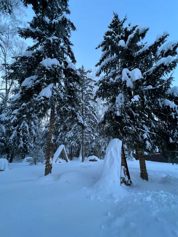 Домик у леса Chill House