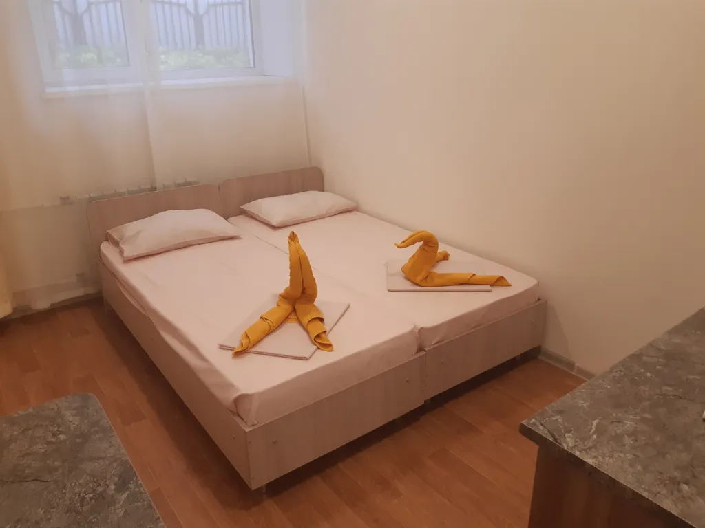 Двухместная студия в Гостевом доме Домашний