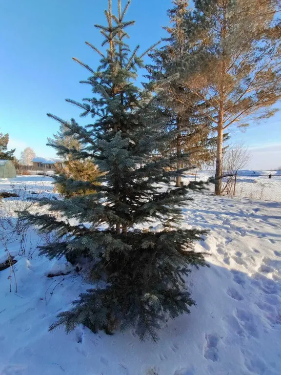 Усадьба в Соколова