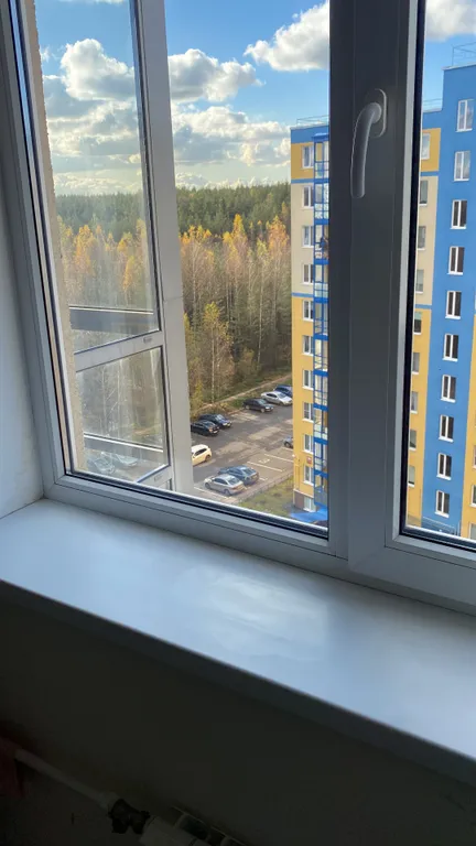 В лесной тиши