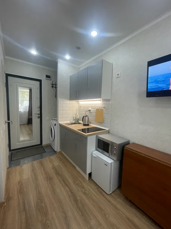 Квартира Светлая студия со свежим ремонтом — аренда посуточно в Казань