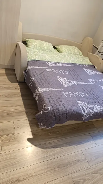 Однокомнатная квартира в центре города