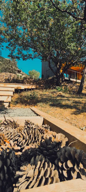 Коттедж 1-комнатный Дом — Лучистое