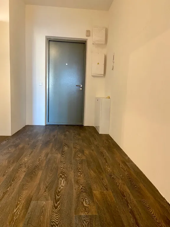 Квартира Однокомнатная квартира эконом в ЖК Инкери — Пушкин