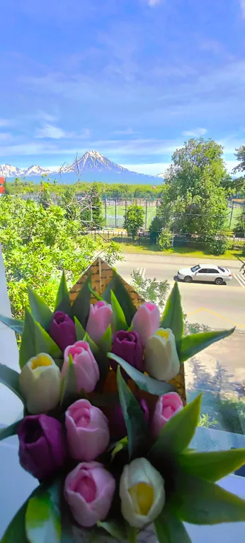 Уютная квартира на Камчатке в Елизово