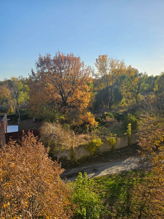 Квартира с видом на парк