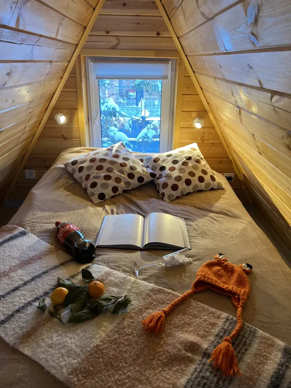 Уютный треугольный дом в окружении леса