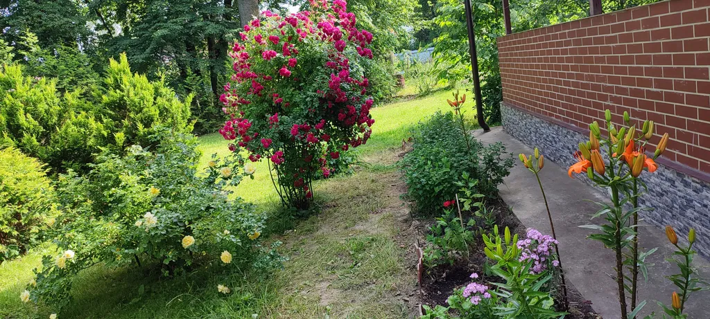 Весь первый уютный этаж с видом на природу