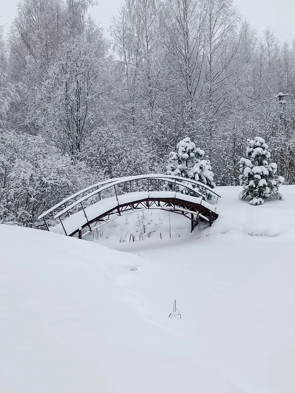 Дом у пруда