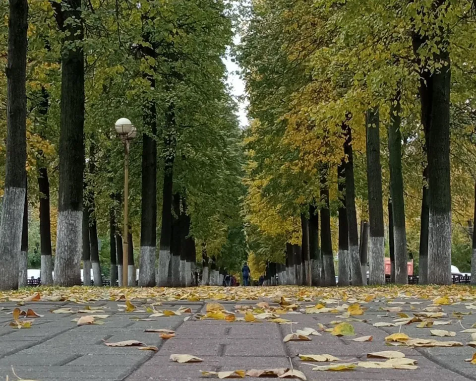 Квартира Квартира в центре с отдельным входом и своей парковкой под окном — Ярославль