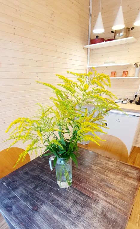 Коттедж Домик с сауной в Московском районе — Санкт-Петербург