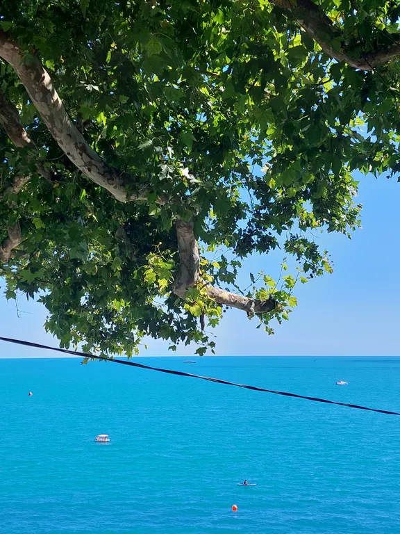 Евродвушка с видом на море на первой береговой линии