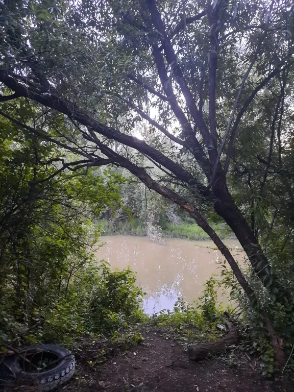 Уютный домик рядом с озером в природном тихом месте