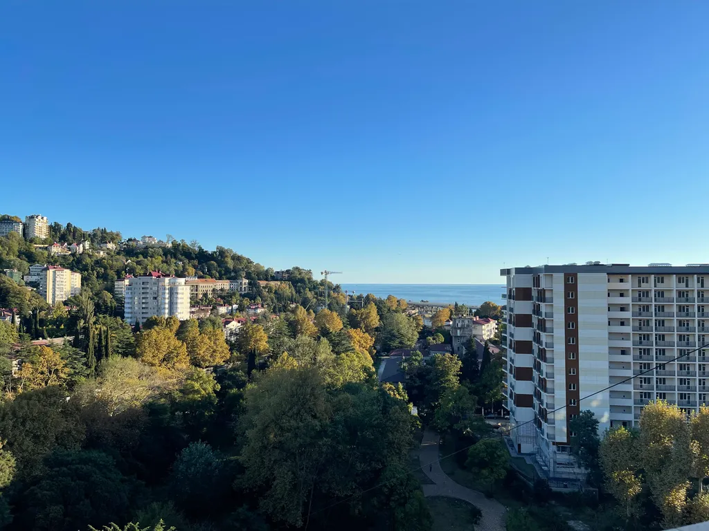 Просторная квартира в центре Хосты