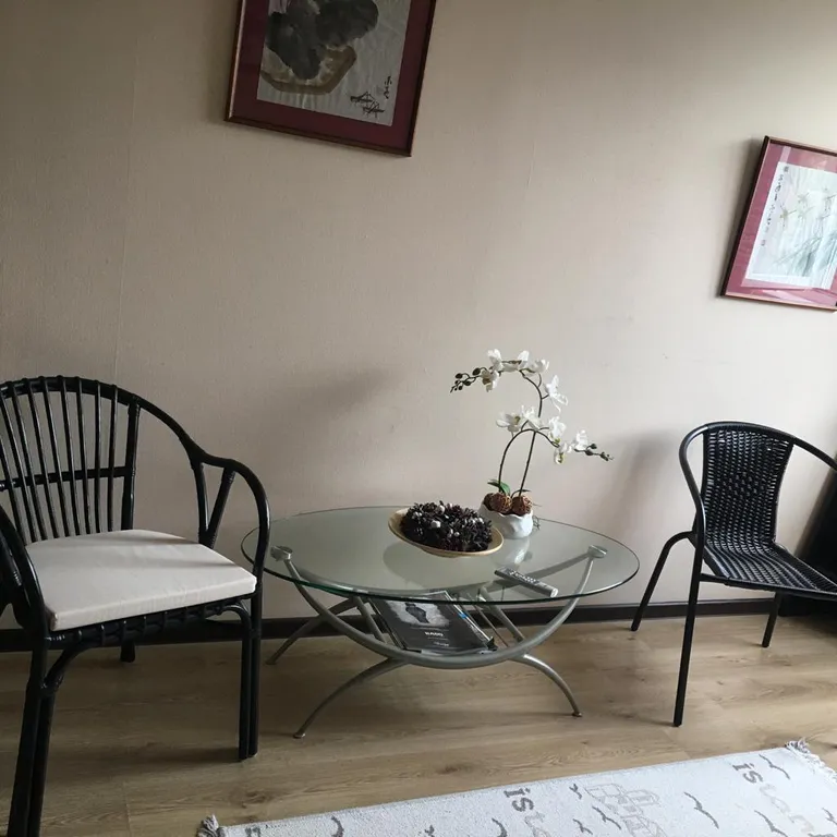 Квартира с прекрасным видом на горы, до подъемника 500 метров