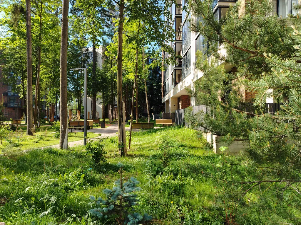 4-х местный апартамент с кроватью king-size