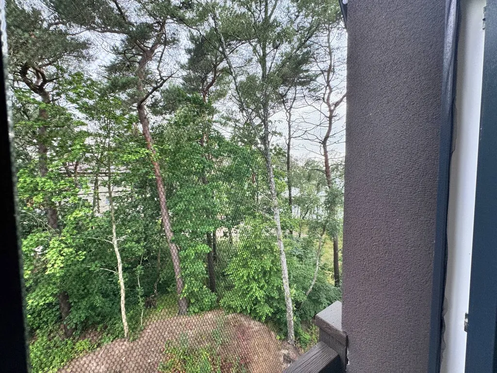 Квартира Апартаменты 9 на первой линии моря с 2-мя кроватями king-size — Светлогорск