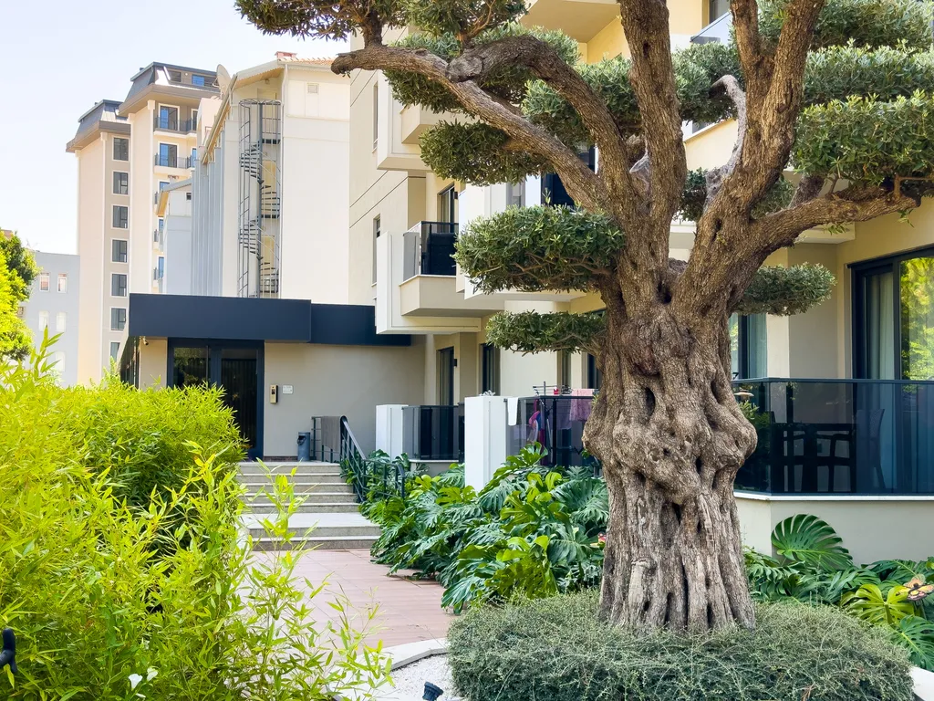 Saga квартира в комплексе премиум комфорт