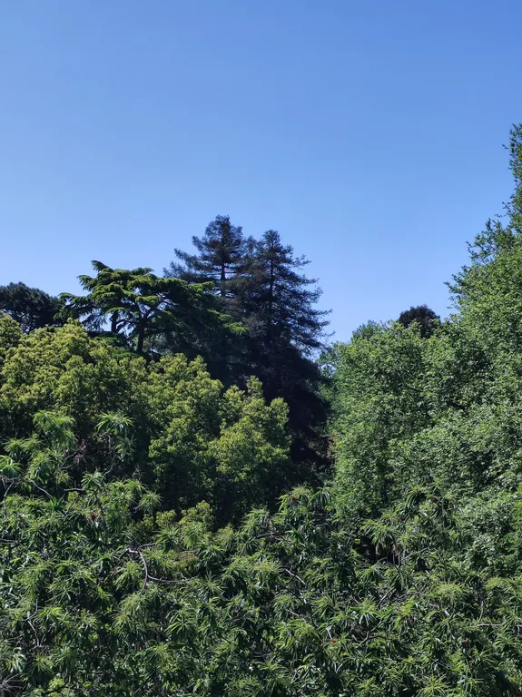 Квартира Квартира Студия в Парке — Сириус