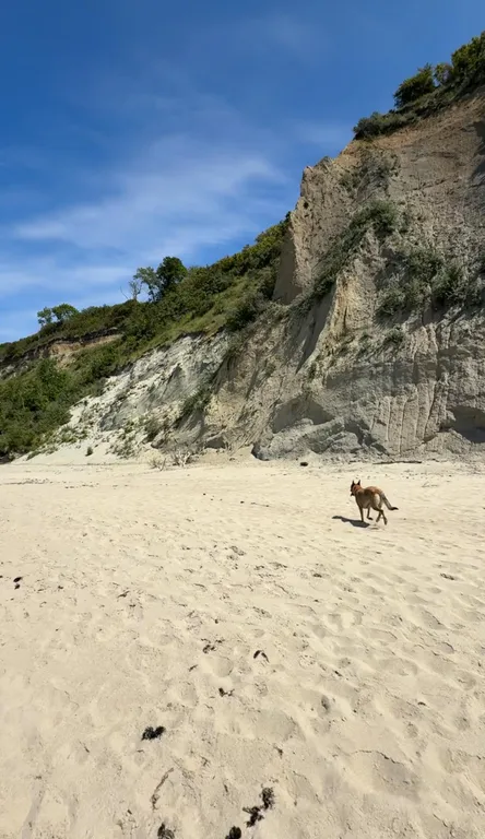 Отдельный дом в 300 м от моря в тихом месте