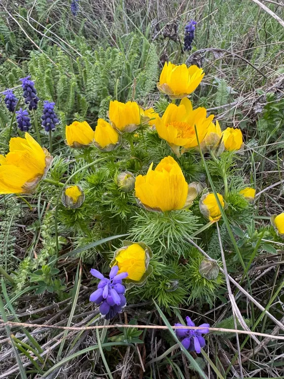 Квартира-студия в Холидей Хаус