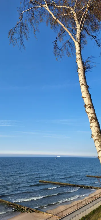 Квартира Квартира у моря — Пионерский