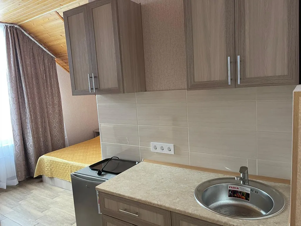 Квартира 1-комнатная Квартира — Сириус