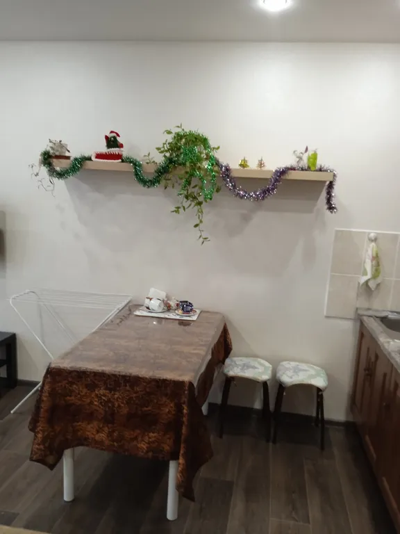 Уютная студия в экологически чистом районе города