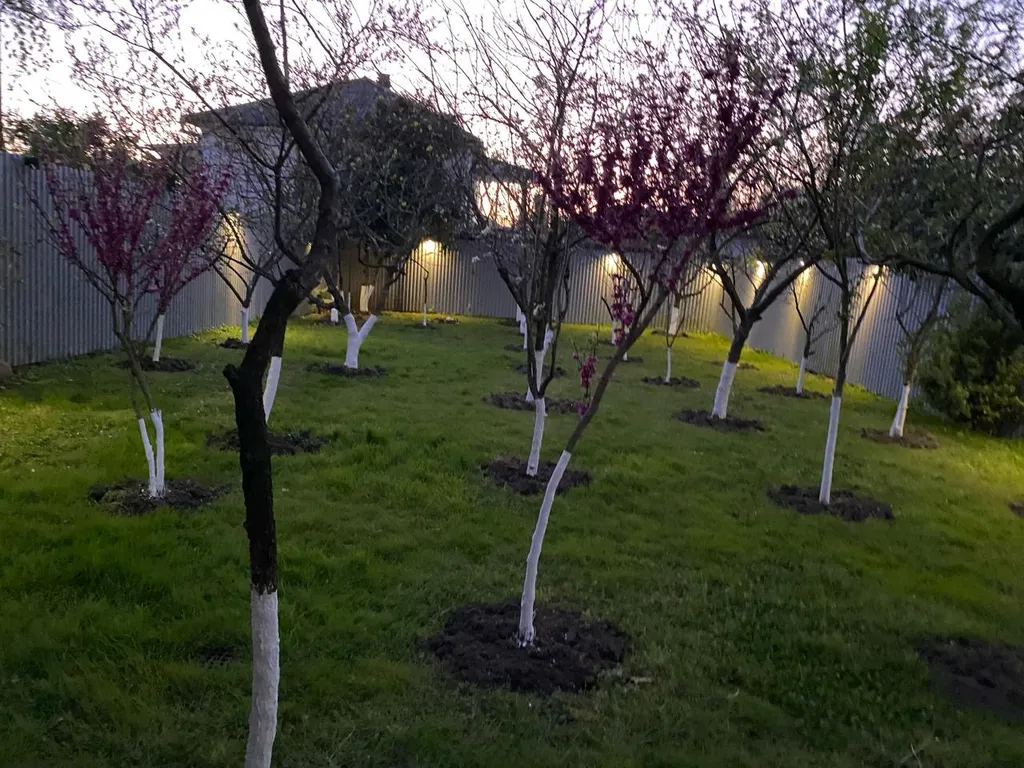 Уютный дом с красивым и вкусным фруктовым садом