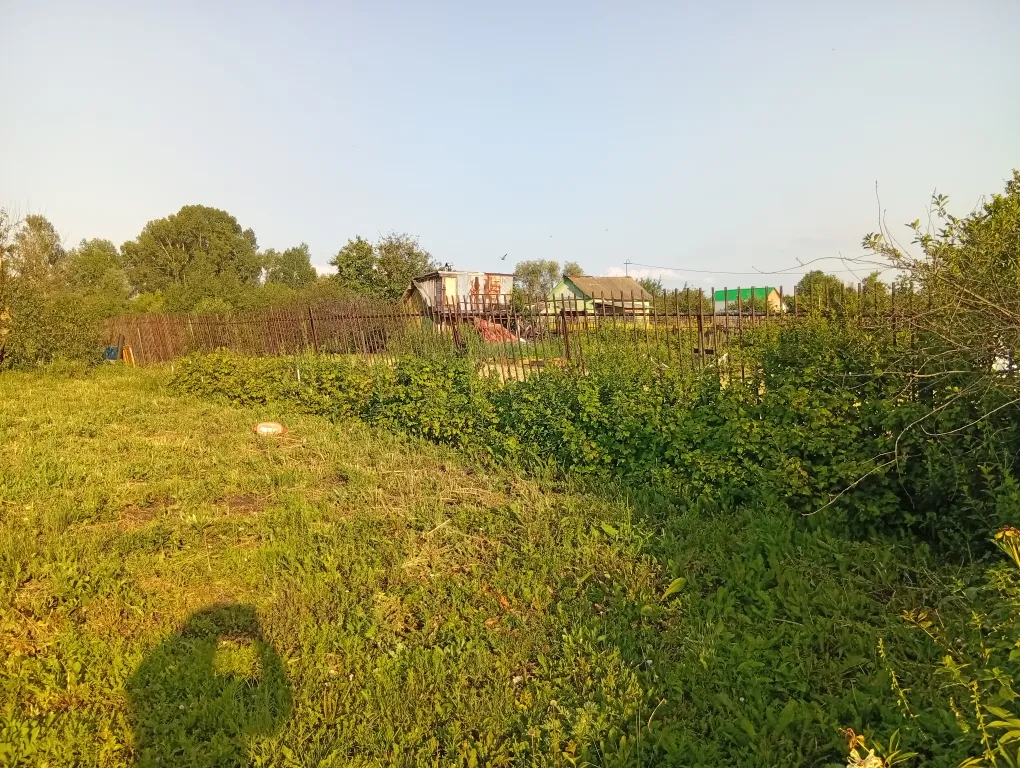 Тихая база Нью-амстердам на озере кожак