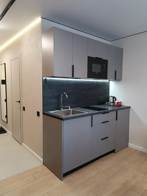 Современная однокомнатная квартира с кондиционером, в центре