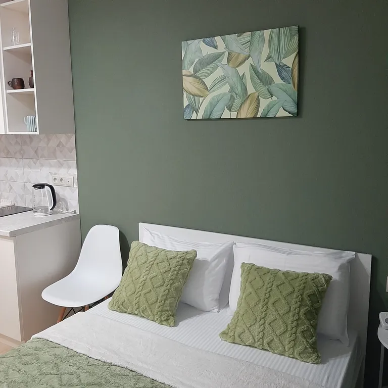 Уютная зеленая студия на Левенцовке