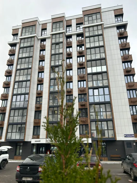 Квартира с видом на лес в центре города