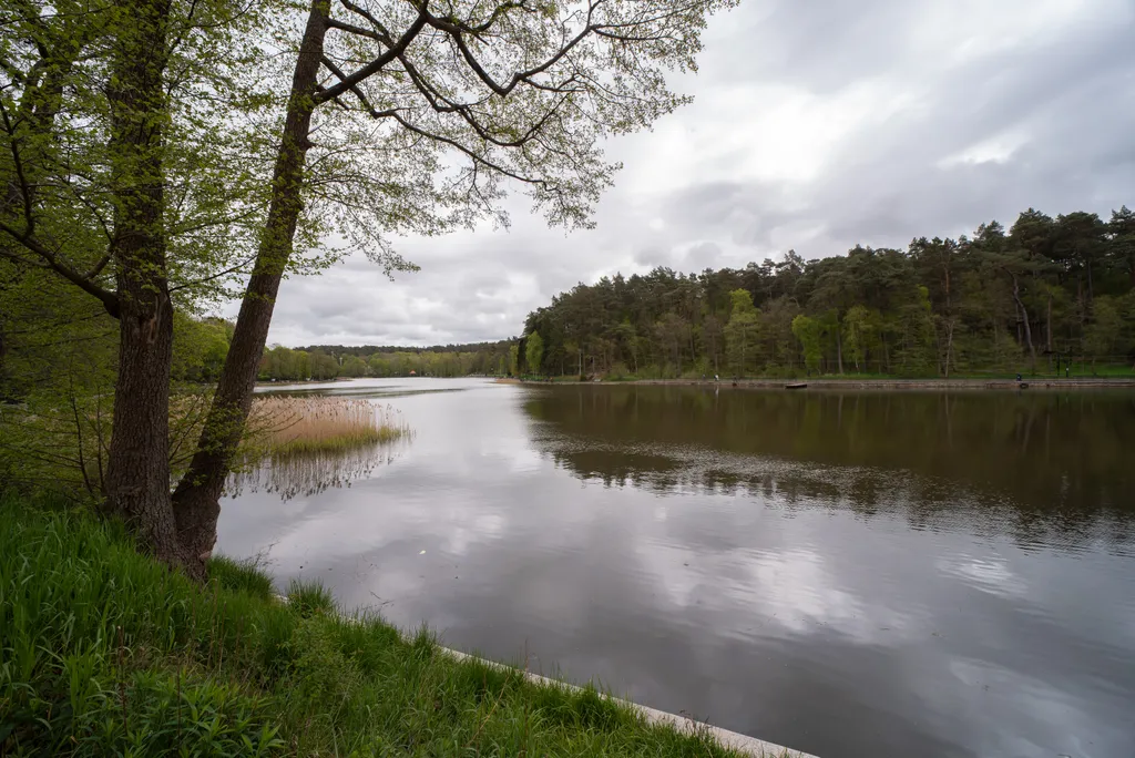 Квартира Уютная квартира на берегу озера Тихое в центре — Светлогорск