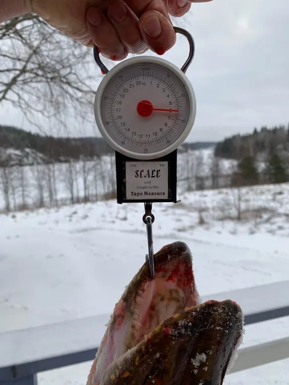 На Ладоге Брусничный