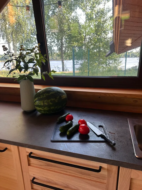 Дом с баней на Неве