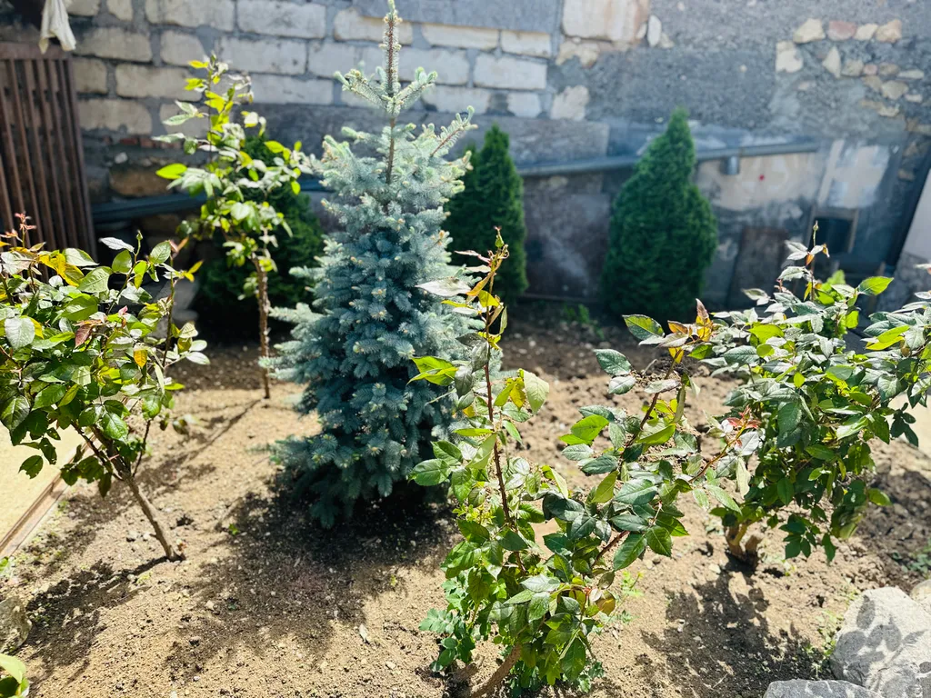 Коттедж Уютный дом в тихом районе — Севастополь