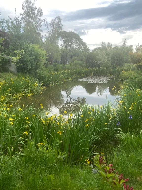 Уютный дом с хаммамом, баней и камином "У Кузьмича"