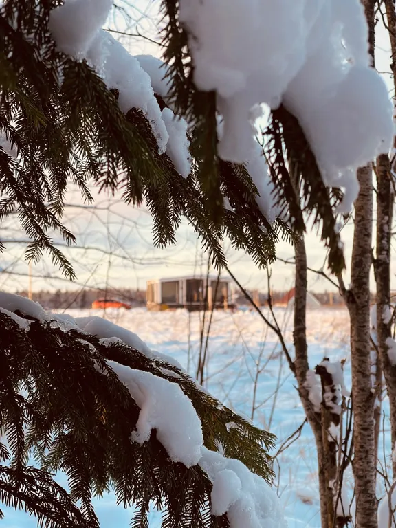 Атмосферный дом у леса