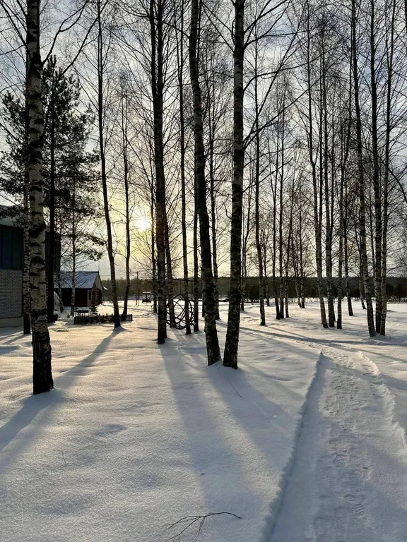 Двухэтажный коттедж Хануман