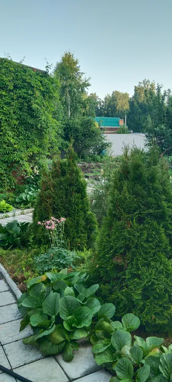 Дом на участке 6 сот