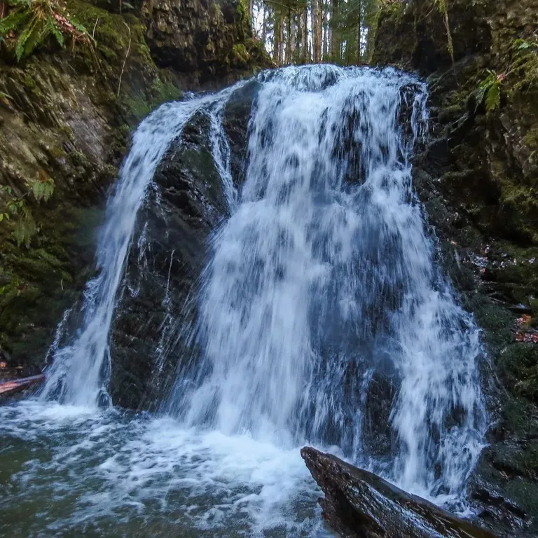 Юрта Монгольская